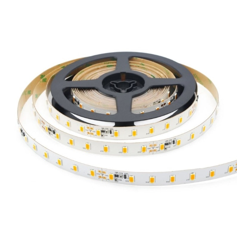 ABC-Led