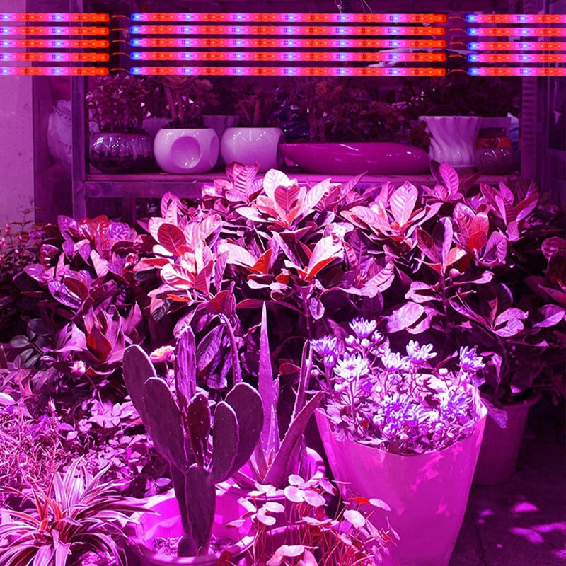 Grow light - Rood/Blauw - 3:1 - 50cm - Waterproof