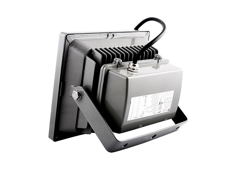 Projecteur LED 20 W blanc froid IP65