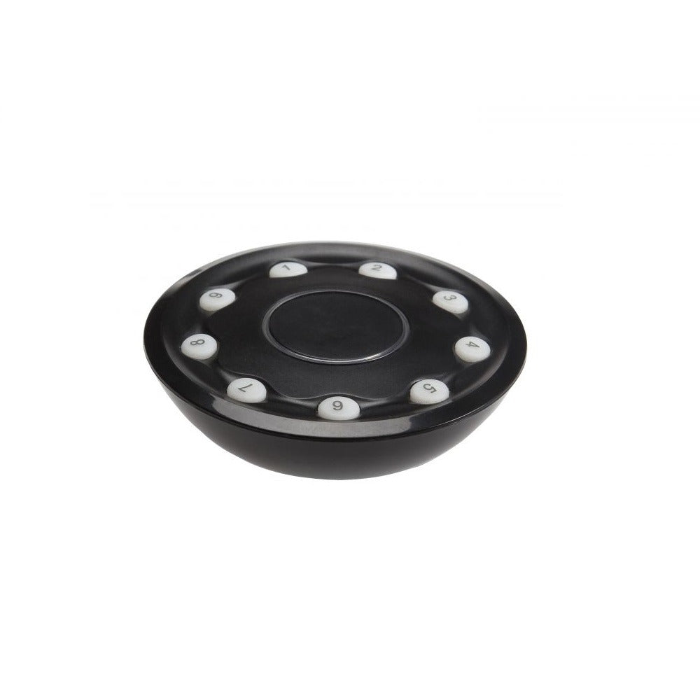 Outdoor ontvanger + afstandsbediening - 12V - 150W