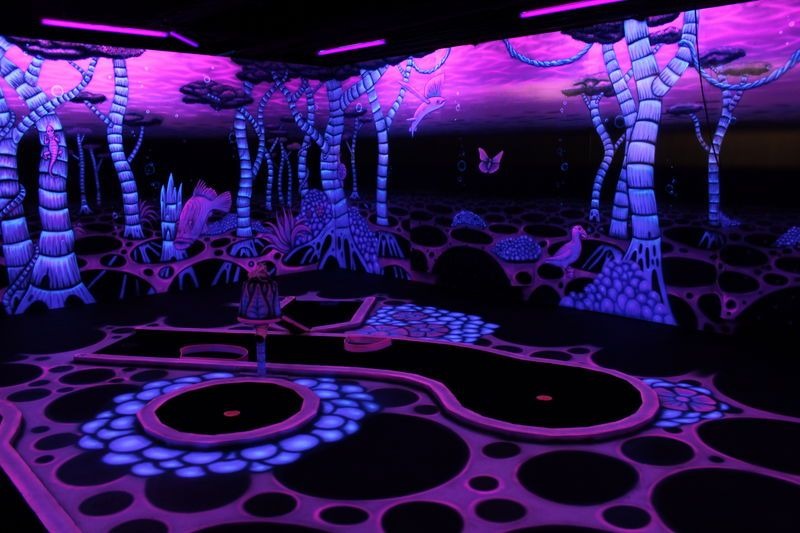 Complete set - Blacklight led strip - 5 meter - IP44