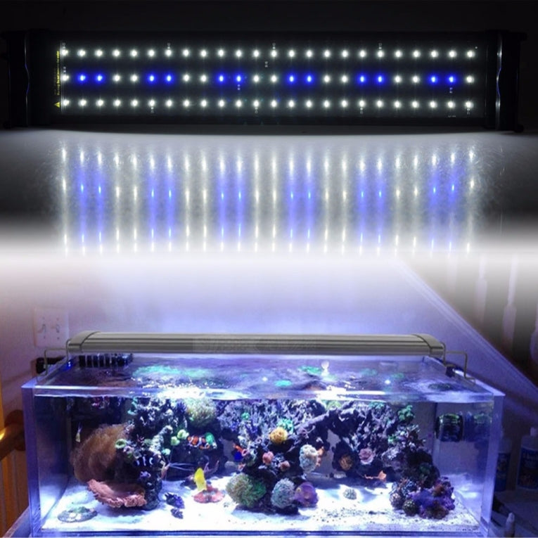 Aquarium bak LED 40cm [45-55cm] 11W 2-standen blauw / wit