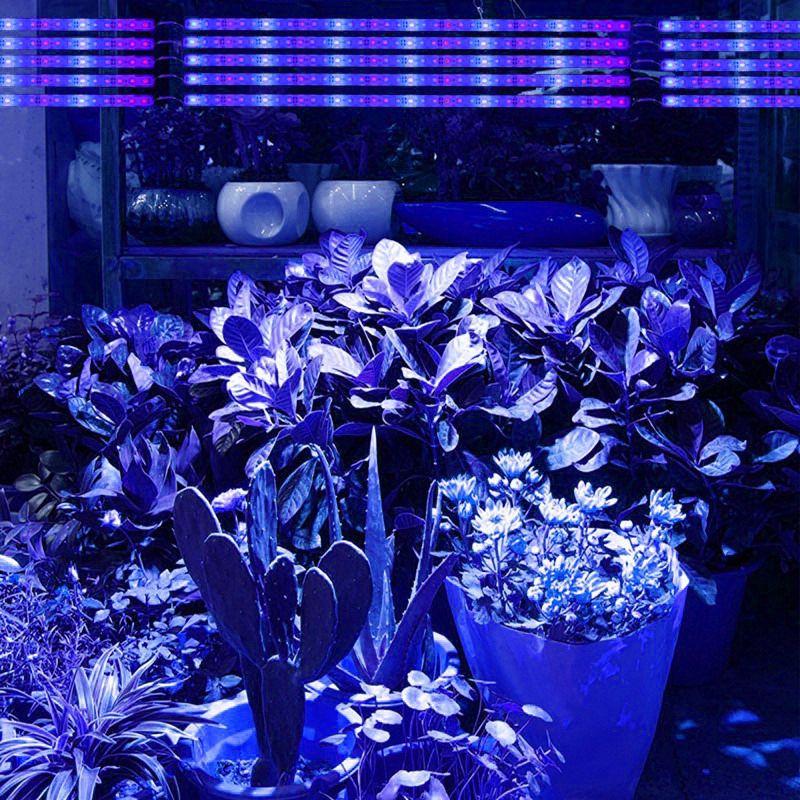 Grow light - Wit/blauw - 12V - 2:1 - 50cm - Waterproof