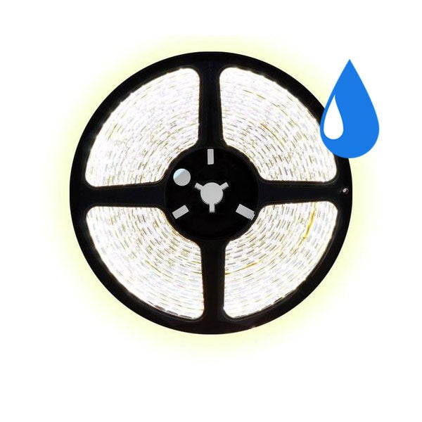 5 meter CCT  led strip DUAL LED - 60Leds/m - IP65 - 12V