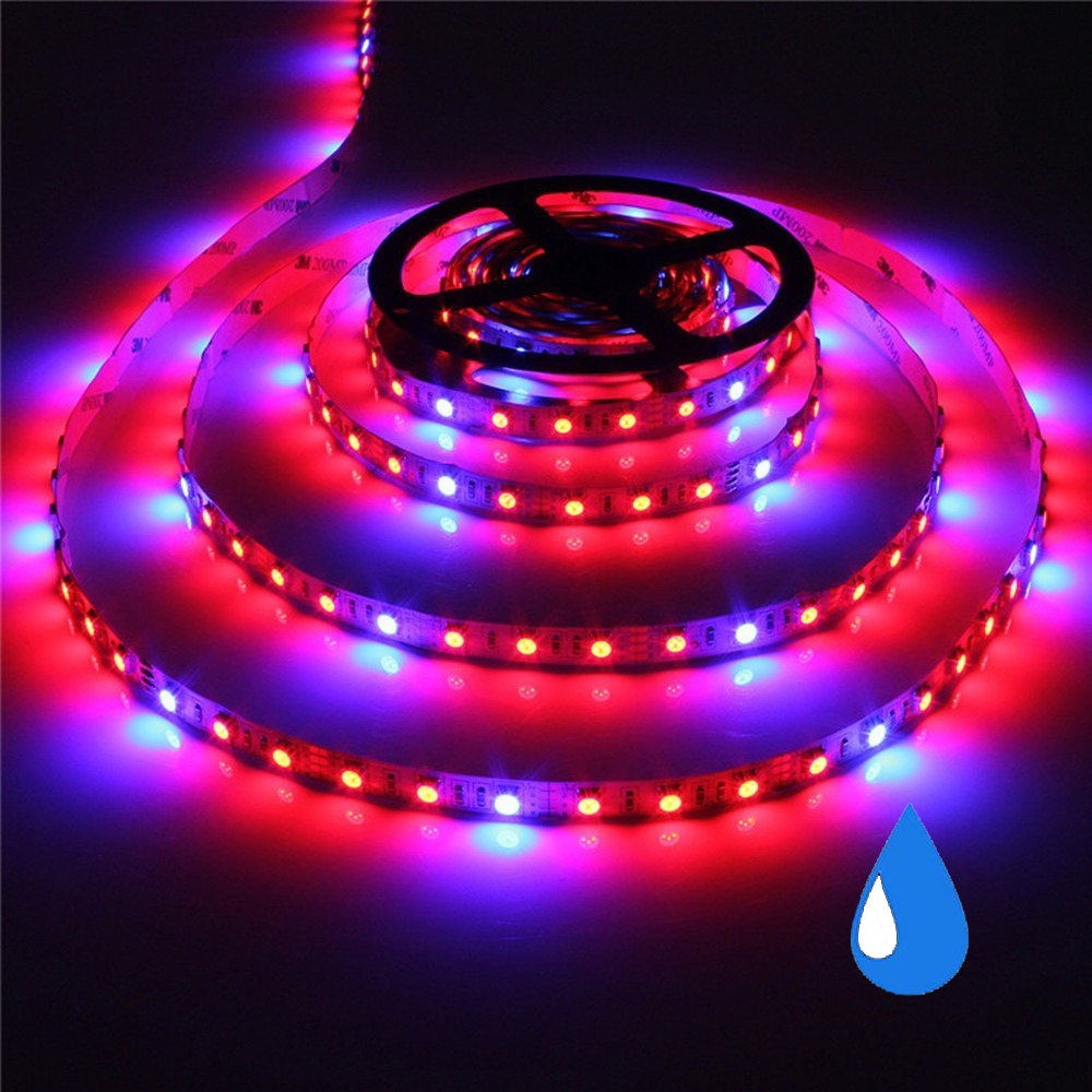 Grow light led strip - Rood/Blauw - IP65 - 4:1 - 1 meter – ABC-Led