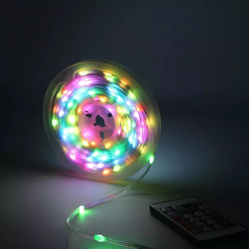 RGB lichtslinger 10 meter USB - programmeerbaar - 100 LED - Dreamcolor ...