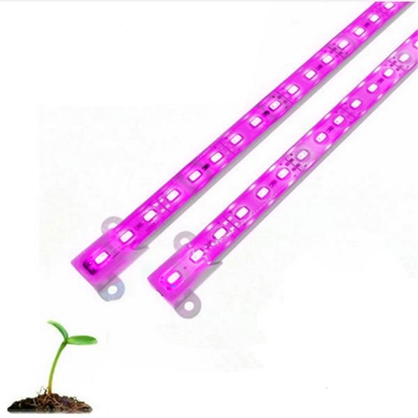Grow light - Paars/Violet - 50cm - Waterproof
