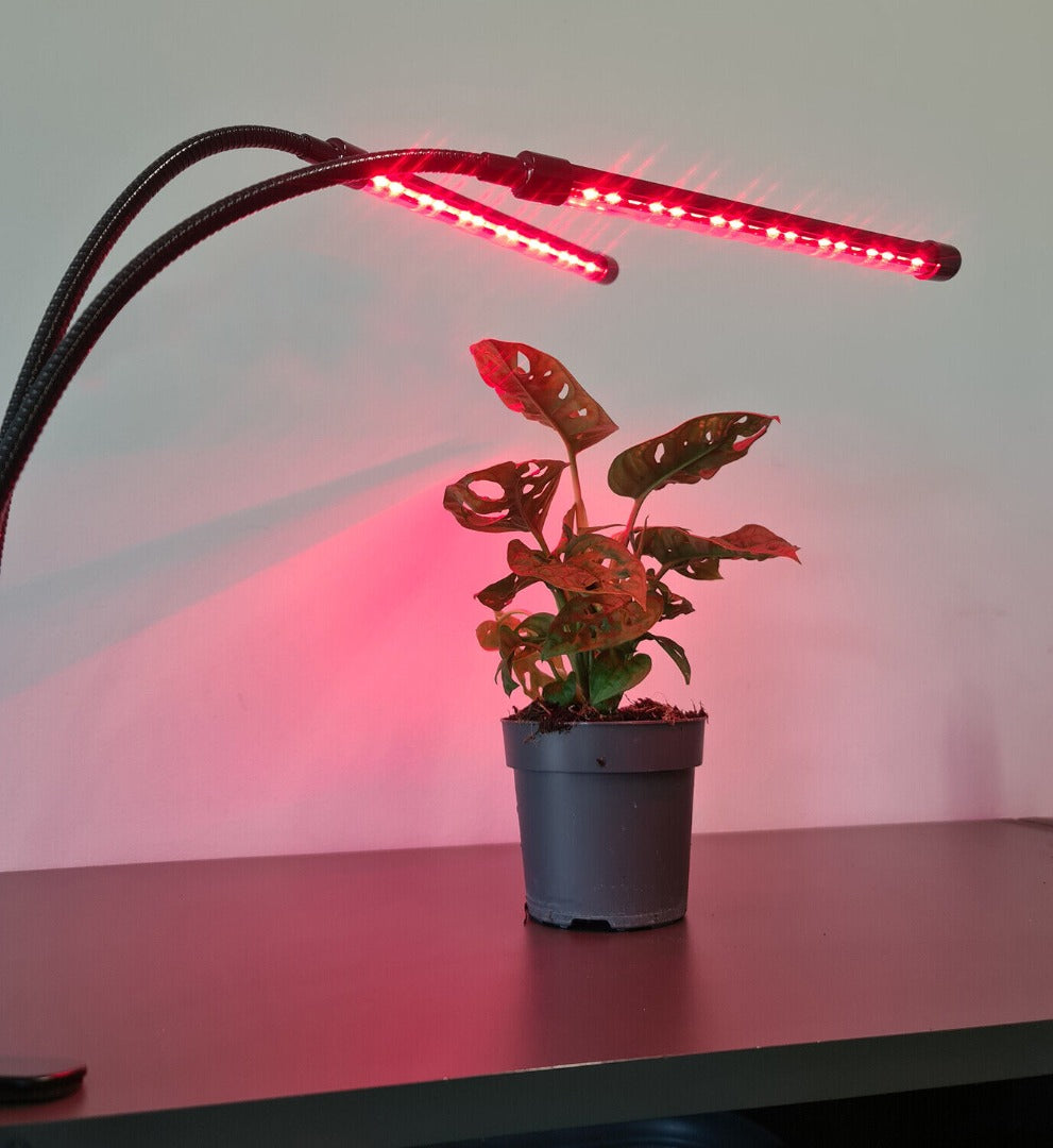 LED grow light - 2 voudig - Rood/blauw/paars - Met controllerÂ en timer