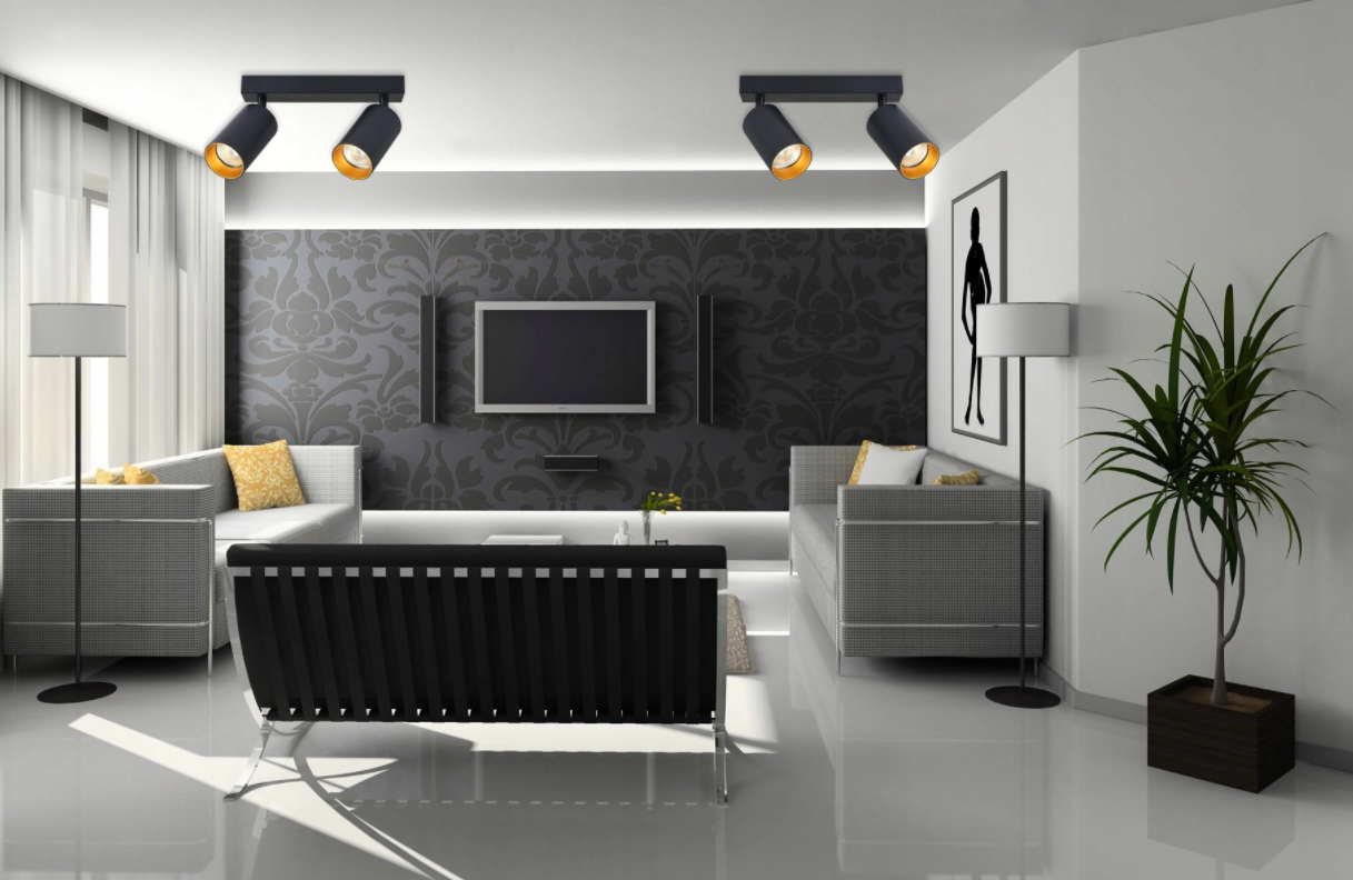 Opbouw plafondspot - 2 stuks - GU10 fitting - Verstelbaar