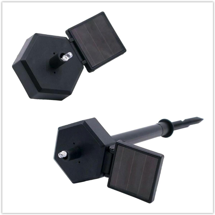 Solar LED Konijn met boek - Met schemersensor en prikpen