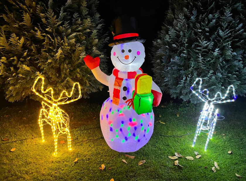 3D LED rendier - Met bewegende kop - Warm wit - IP44