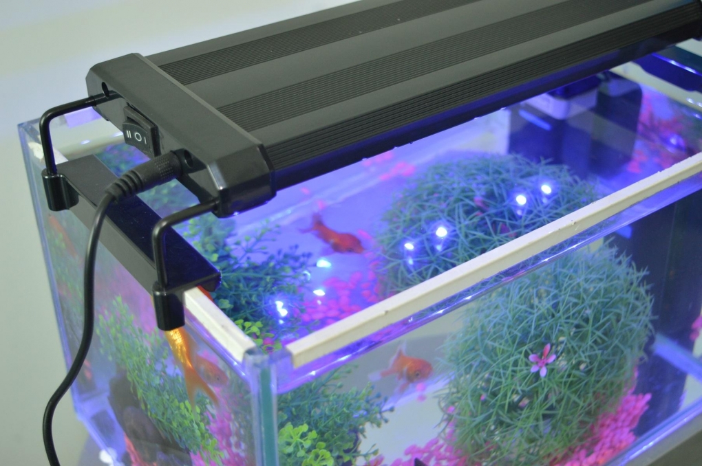 vuilnis filosofie ontwikkelen Aquarium bak LED 55cm [60-80cm] 18W 2-standen blauw / wit - ABC-led.nl